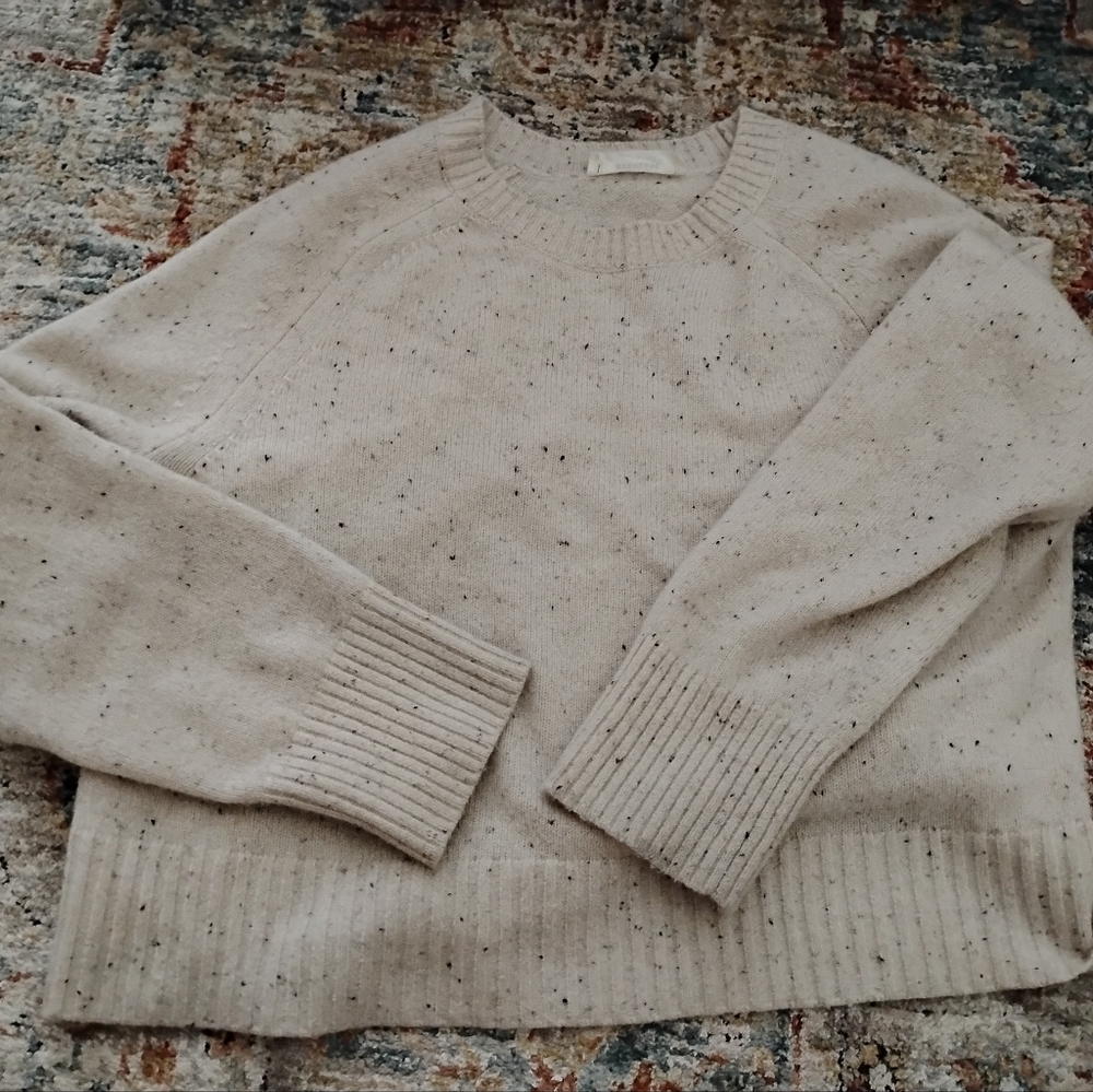 Everlane Cashmere Cropped Sweater